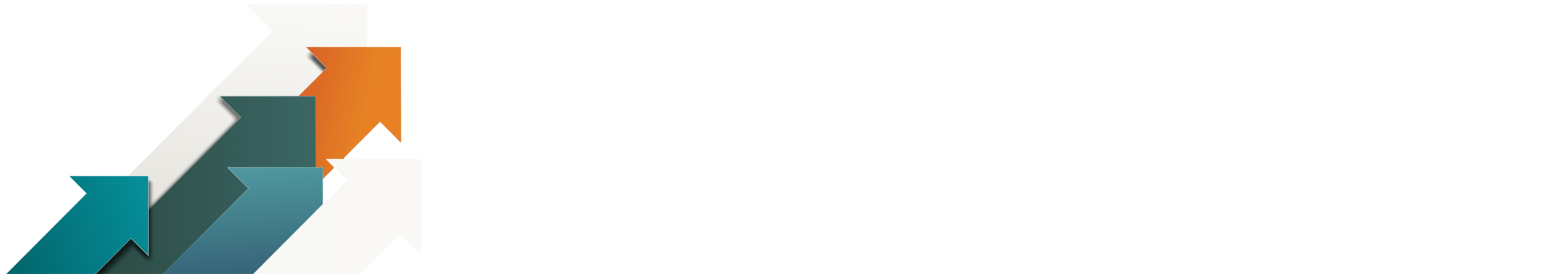 The Race at Work Conference